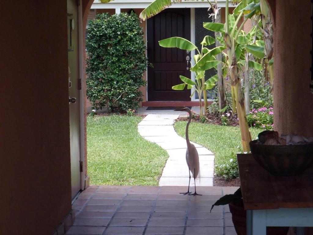 Beach Road Villas Sanibel Extérieur photo